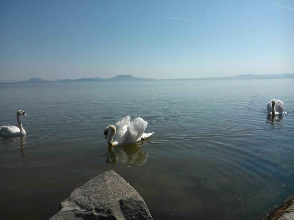 BalatonberényAngela Haz公寓 客房 照片